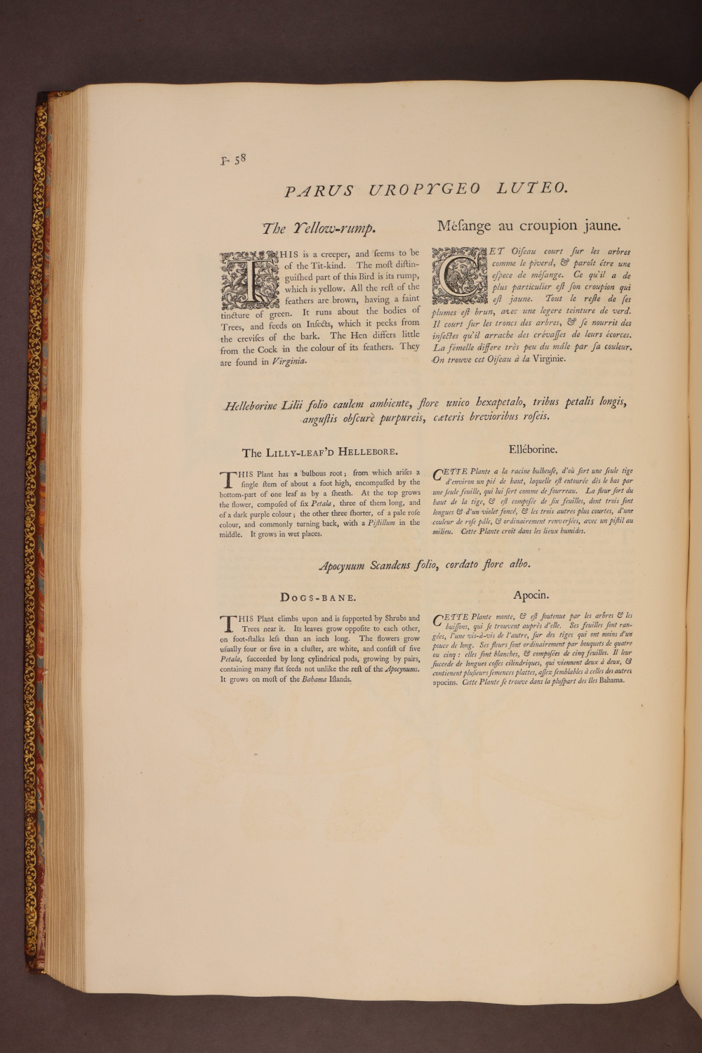 Page 58